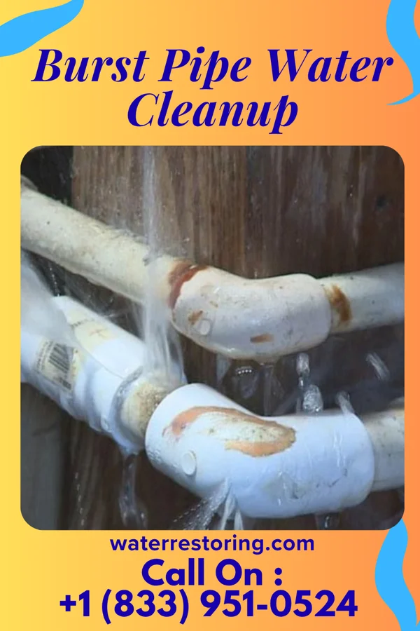 Burst Pipe Water Cleanup in Maywood, NJ