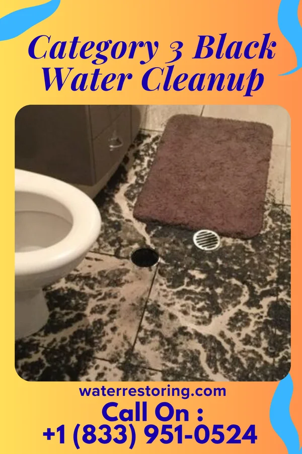 Category 3 Black Water Cleanup in Maywood, NJ