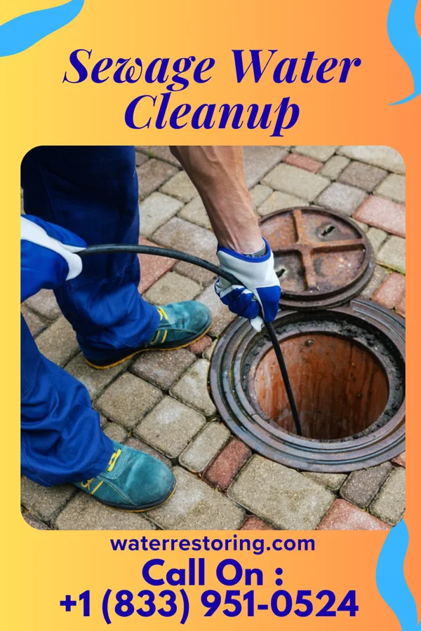 Sewage Water Cleanup in Maywood, NJ