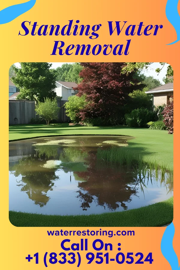 Standing Water Removal in Maywood, NJ